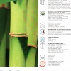 cuscino in bambù Hefel Pure Bamboo